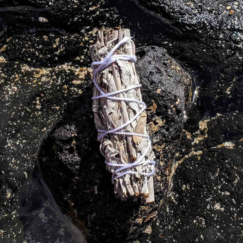 Abalone Shell Smudging Gift Set – Includes White Sage & Apothecary Match Jar - Nymph Ki