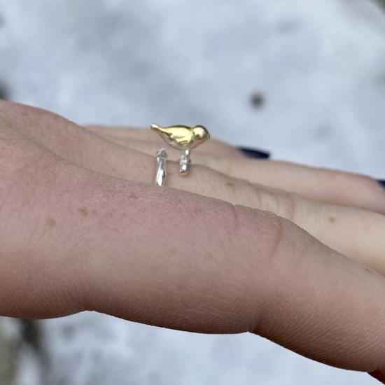 Adorable Finch Ring – Lightweight Adjustable Ring for Joy, Balance & Nature - Loving Souls - Nymph Ki