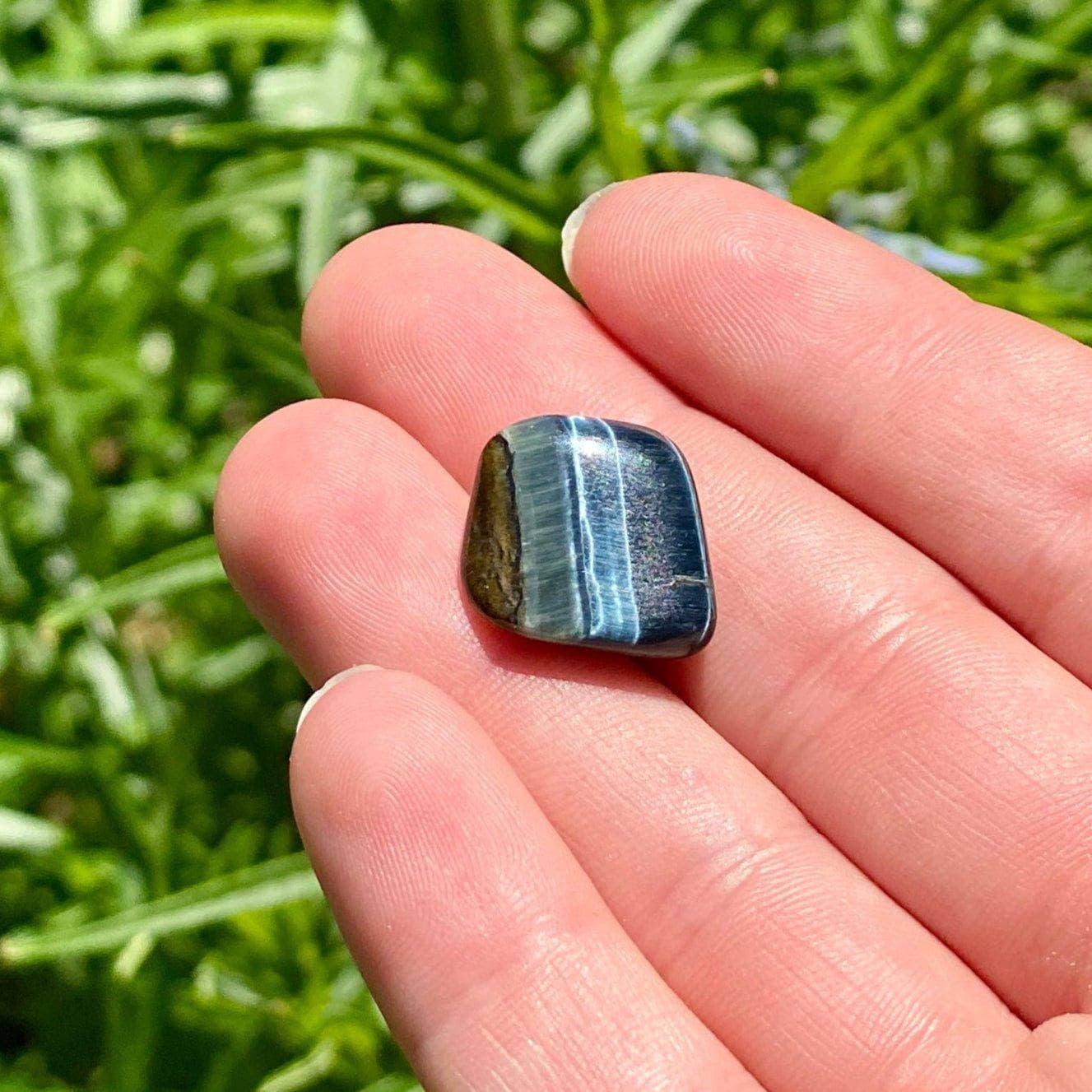 Polished Blue Tiger’s Eye stones resting in an open palm with soft green grass in the background.
