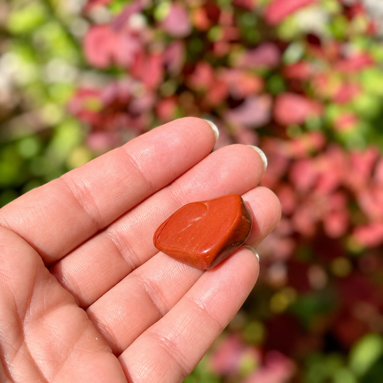 Red Jasper crystal resting in a palm with soft red leaves in the background.