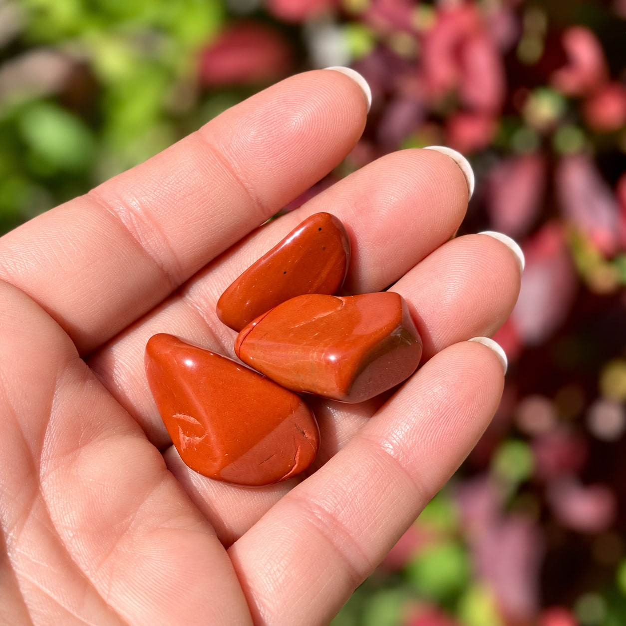 Red Jasper crystals resting in a palm with soft red leaves in the background.