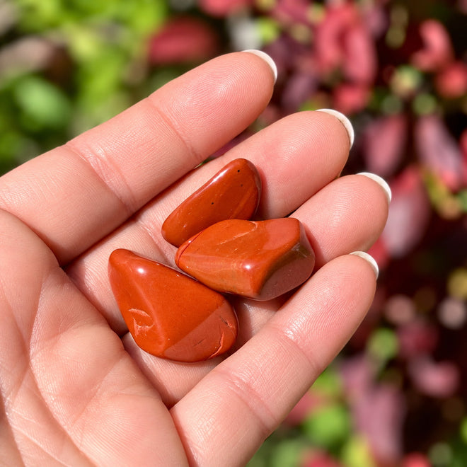 Red Jasper crystals resting in a palm with soft red leaves in the background.