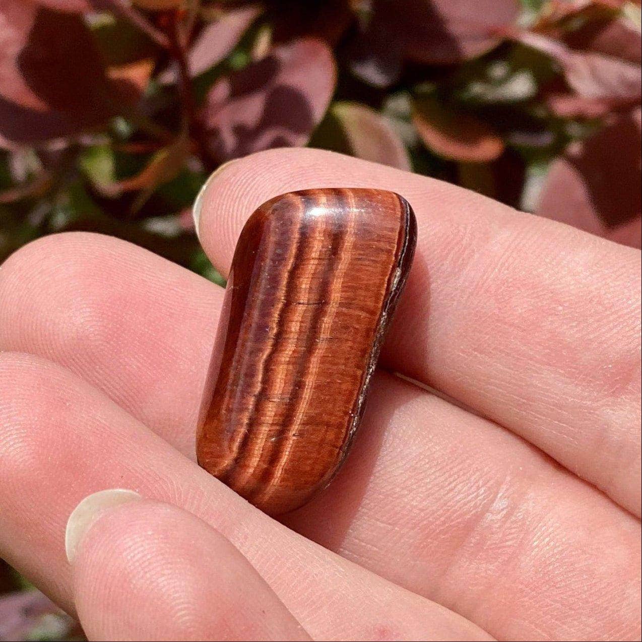 Polished red tiger’s eye crystal resting in a hand with leafy background and sunlight shimmer.
