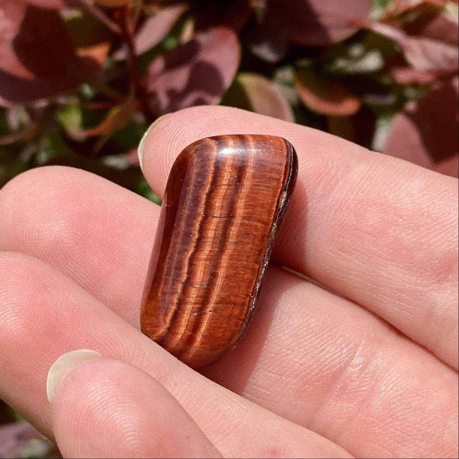 Polished red tiger’s eye crystal resting in a hand with leafy background and sunlight shimmer.
