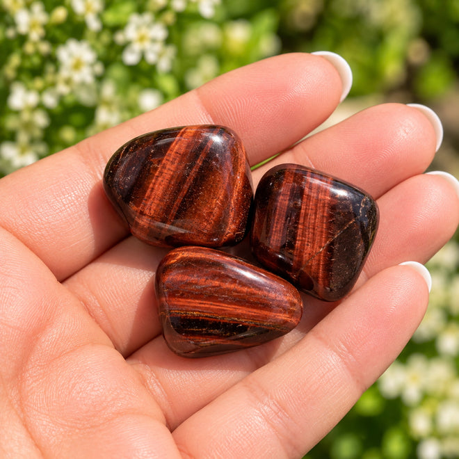 Three polished reddish-brown tumbled Red Tiger's Eye stones with dark bands, held in a person's hand against a blurred green garden background.