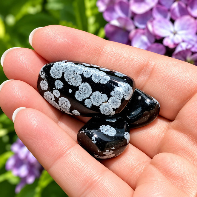 Snowflake Obsidian crystals resting in an open palm with a vibrant purple floral background for emotional healing and grounding.