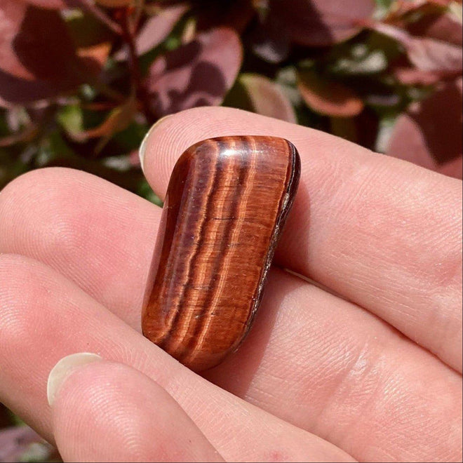 Red Tiger’s Eye Crystal Add - On | Boost Energy, Courage & Motivation - Nymph Ki