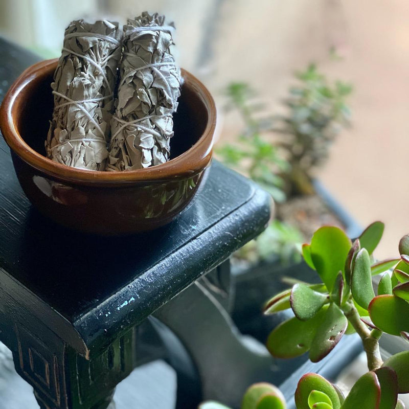 White Sage Smudge Stick Bundle – For Cleansing & Energy Purification - Nymph Ki