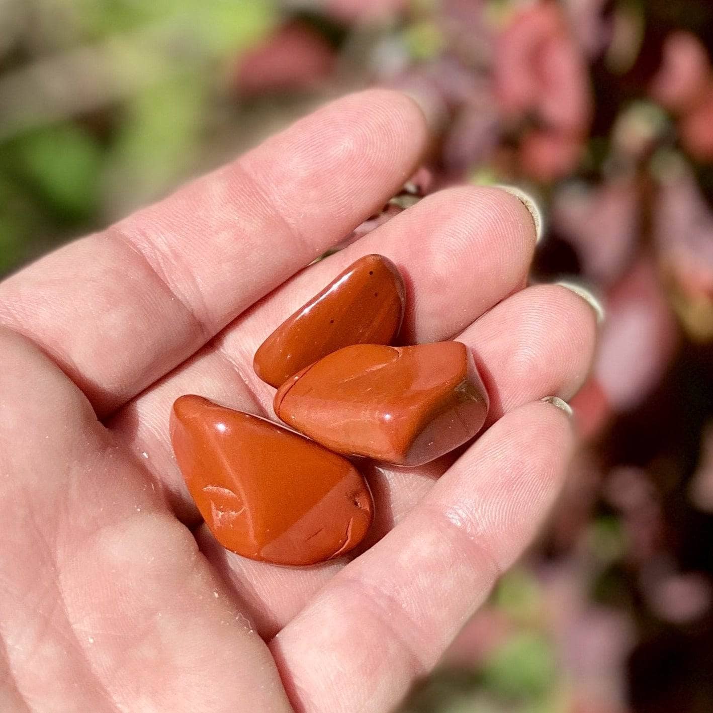 Three Red Jasper crystals resting in a palm with soft red leaves in the background.
