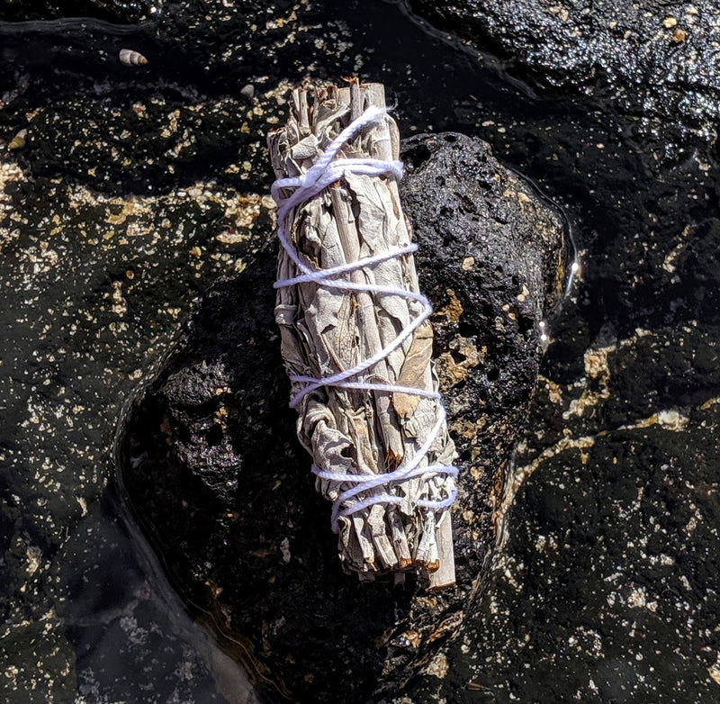 White sage bundle resting on volcanic rock near the ocean.
