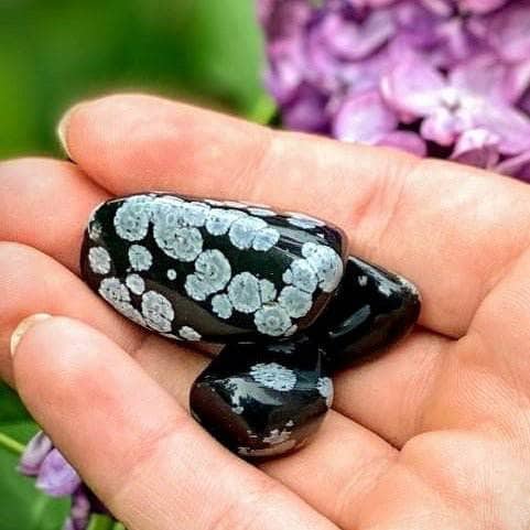 Snowflake Obsidian crystals resting in an open palm with a vibrant purple floral background for emotional healing and grounding.
